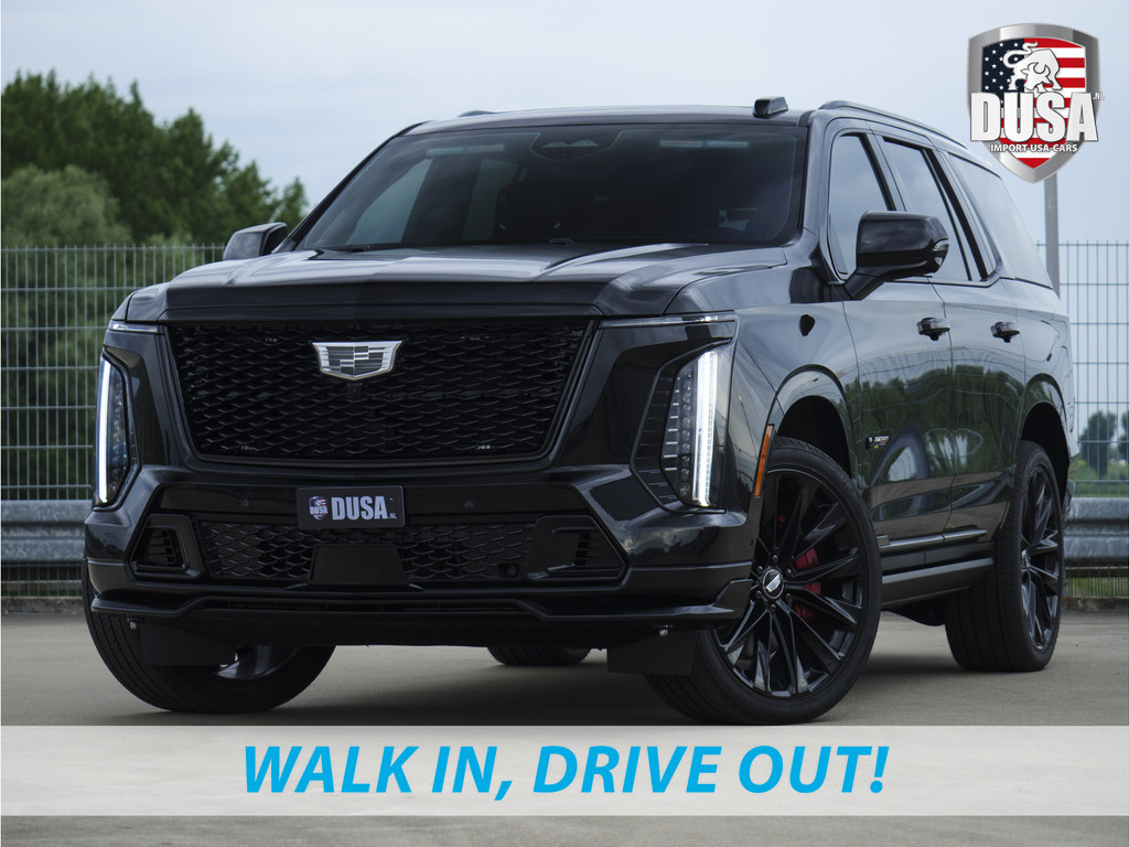 53990076